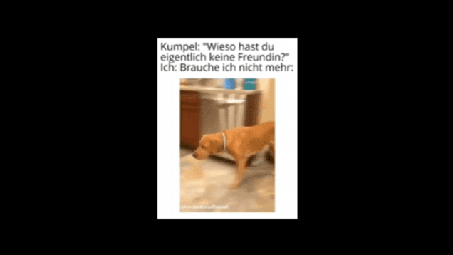 witzig_1