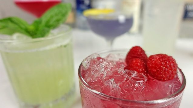 7 BEST GIN COCKTAILS (and How to Make Them with 10 Ingredients!) Vol1