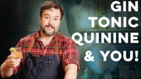 Chloroquine and the Gin & Tonic