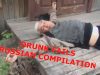 DRUNK FAILS COMPILATION