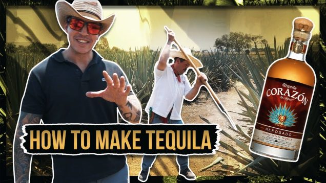 HOW TEQUILA IS MADE