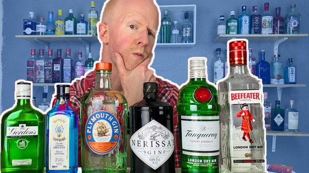 Mainstream Gin Comparison!