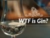 WTF is Gin? Was ist Gin eigentlich & wie trinkt man ihn am besten?